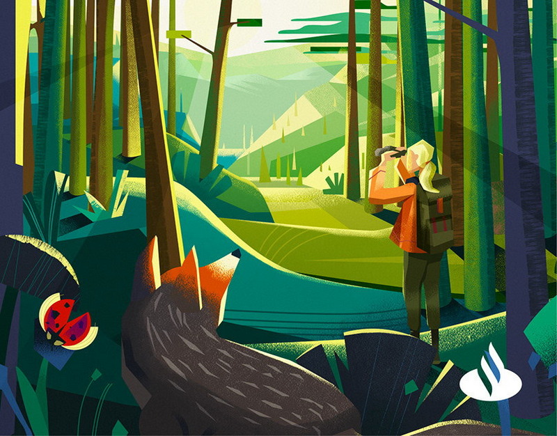 Анкара расширяет географию своей оборонной отрасли